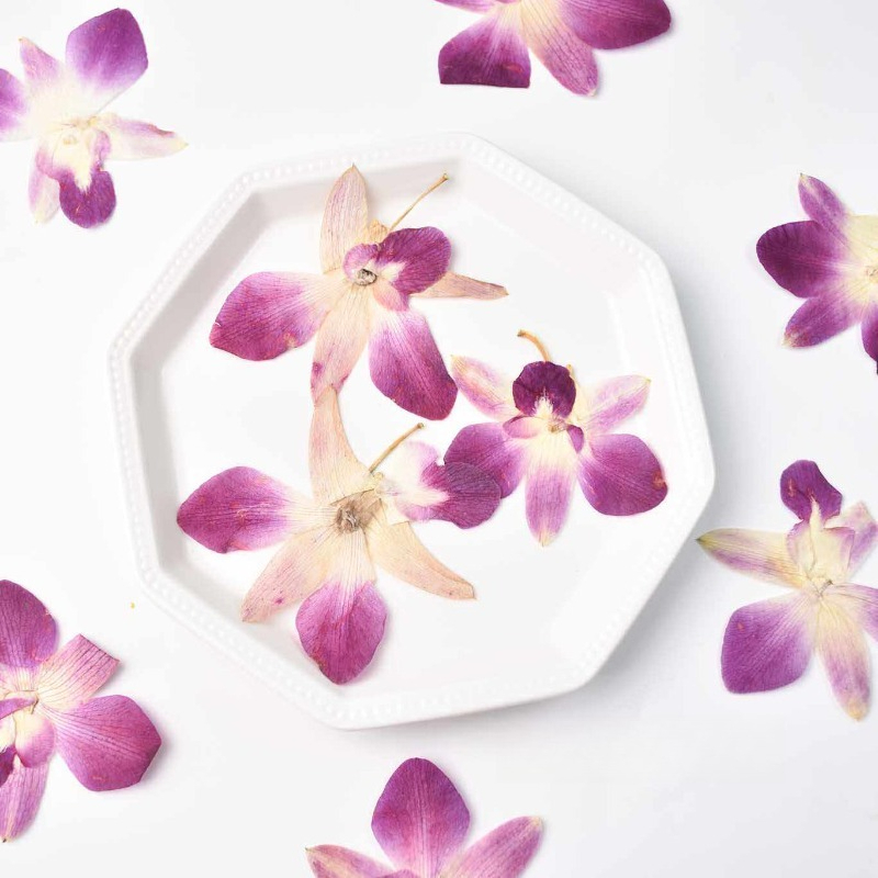 4 piezas, Flores de Orquídea M - Art Craft Activities reseña y precio