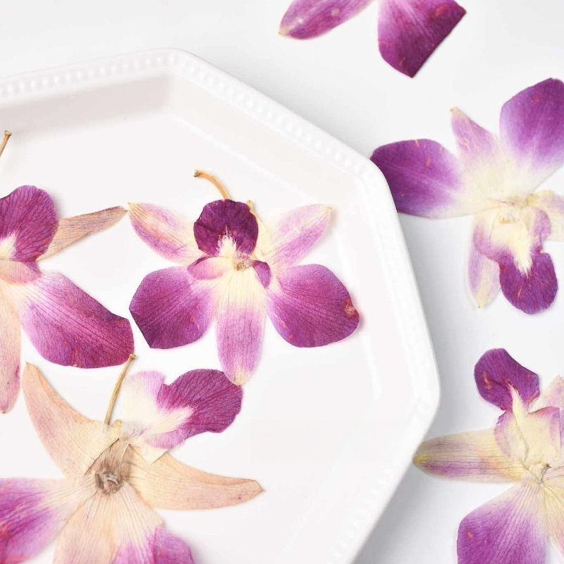 4 piezas, Flores de Orquídea M - Art Craft Activities reseña y precio