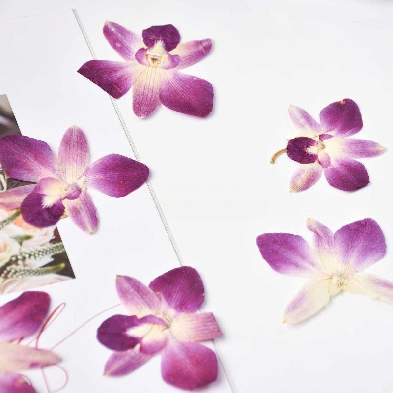 4 piezas, Flores de Orquídea M - Art Craft Activities reseña y precio