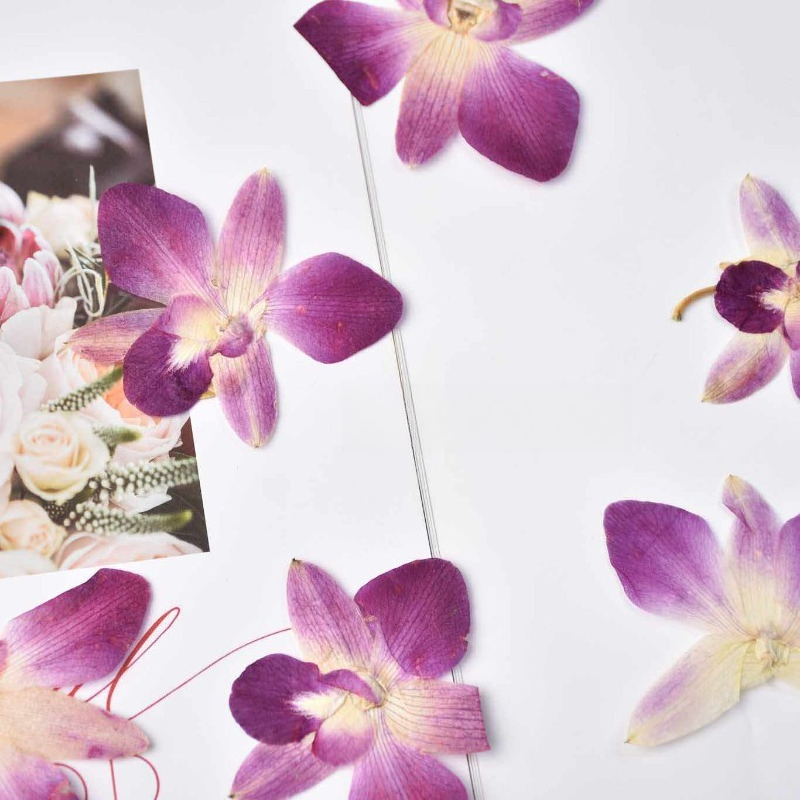 4 piezas, Flores de Orquídea M - Art Craft Activities reseña y precio